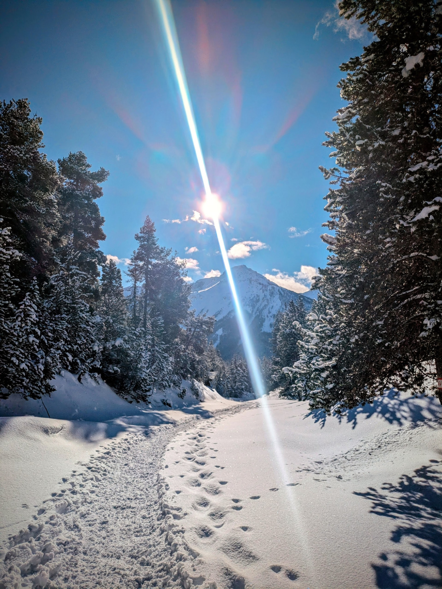 WinterTraject - ervaringsgerichte wandelretraite in de Alpen