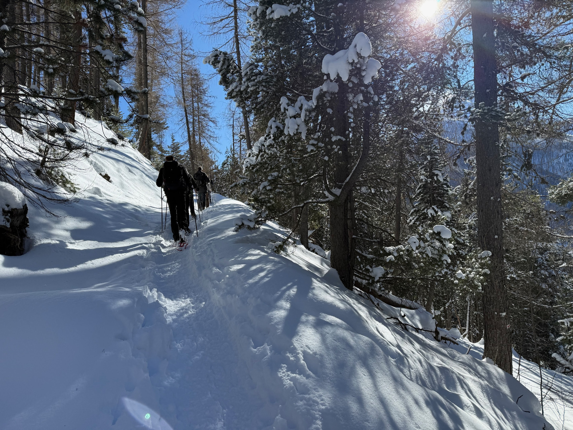 WinterTraject - ervaringsgerichte wandelretraite in de Alpen
