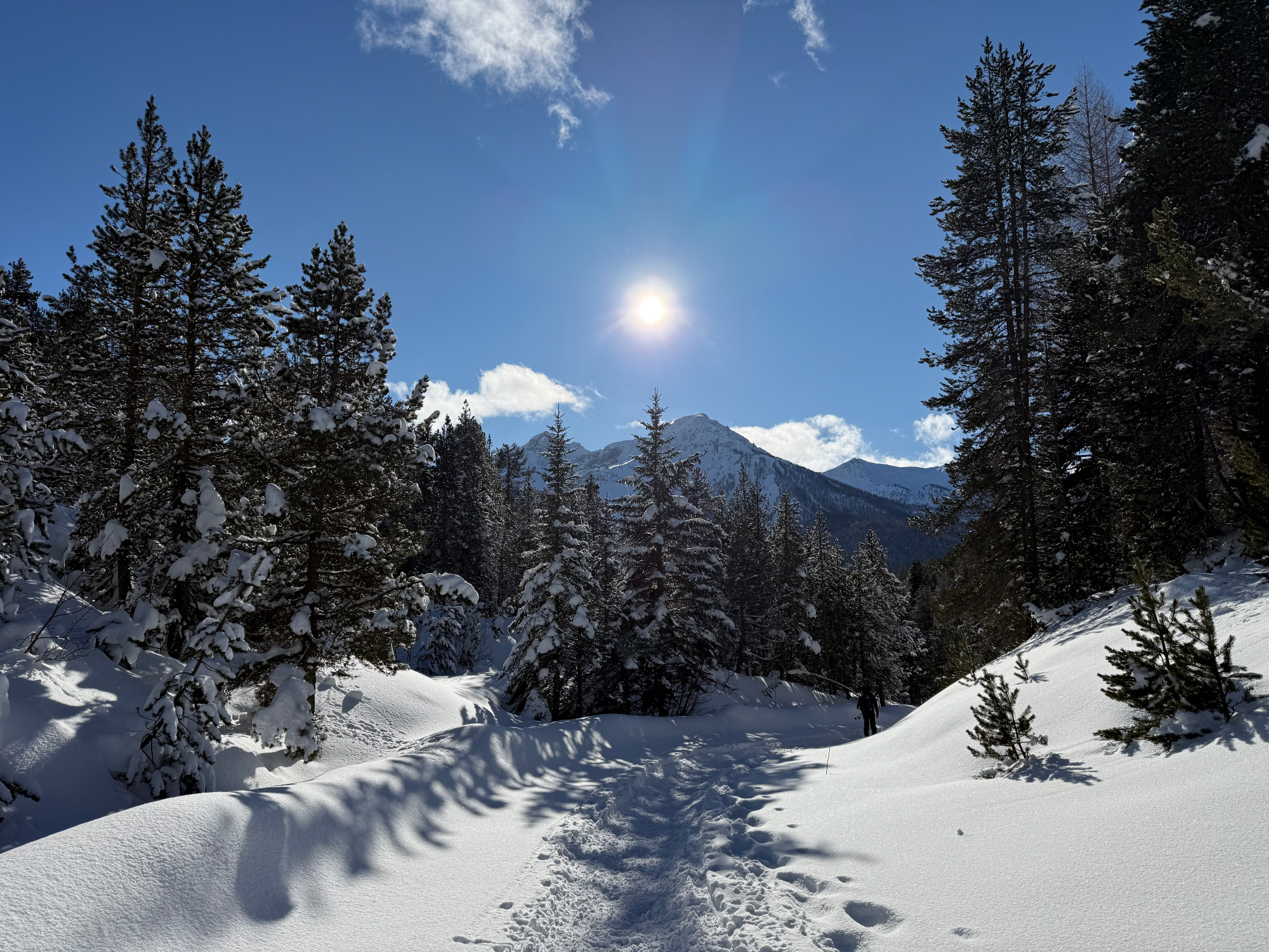 WinterTraject - ervaringsgerichte wandelretraite in de Alpen