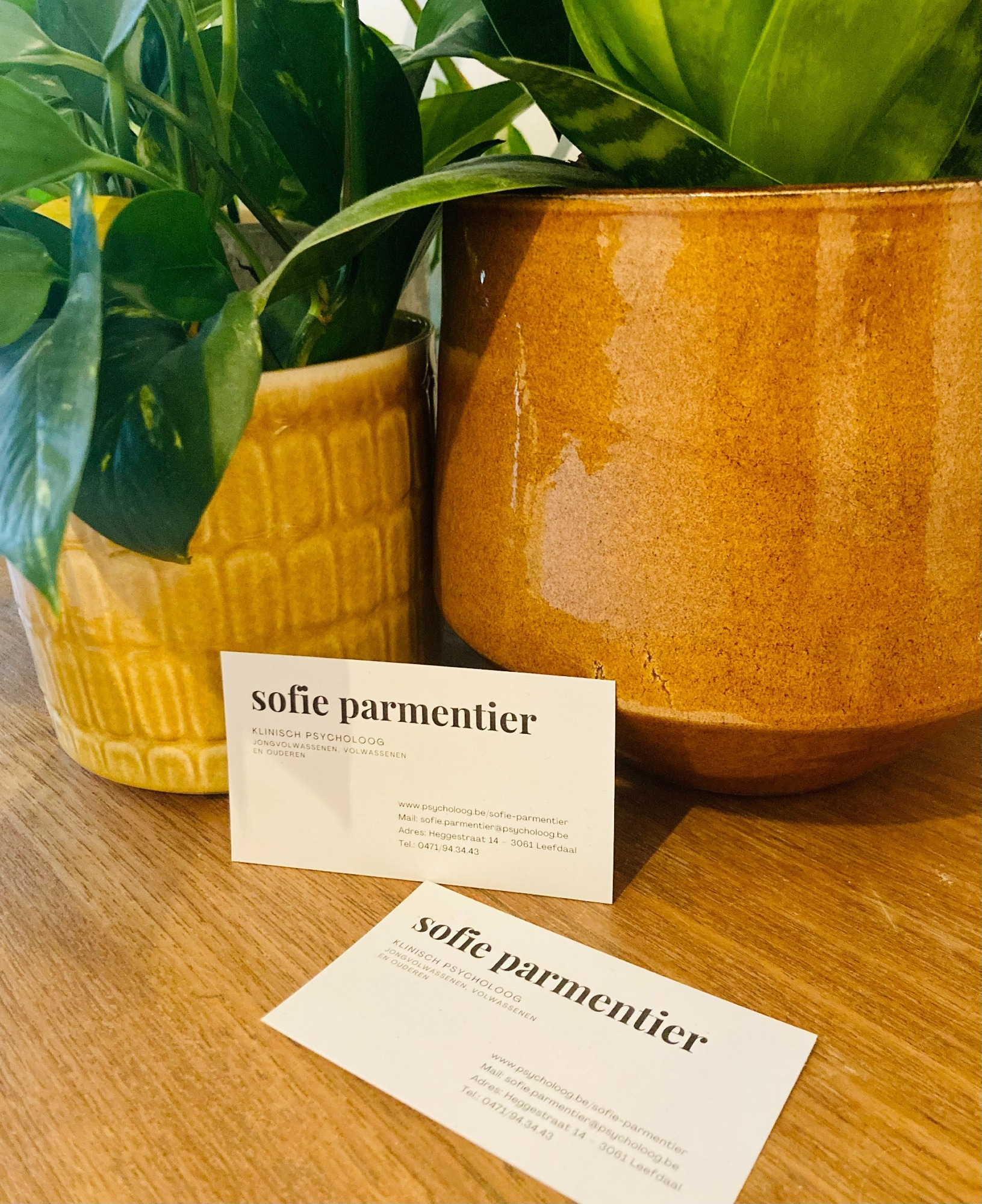 Sofie Parmentier