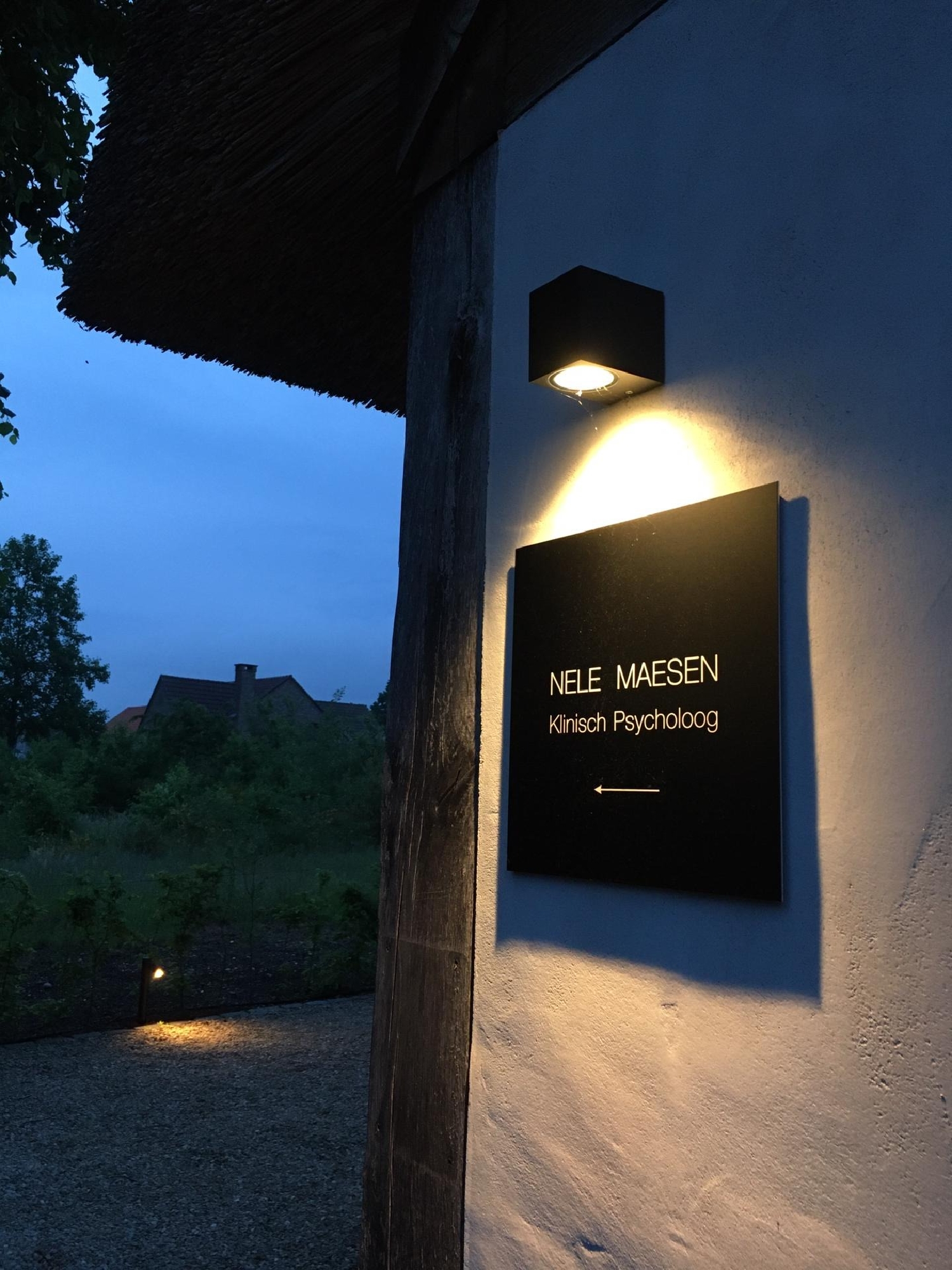 Nele Maesen