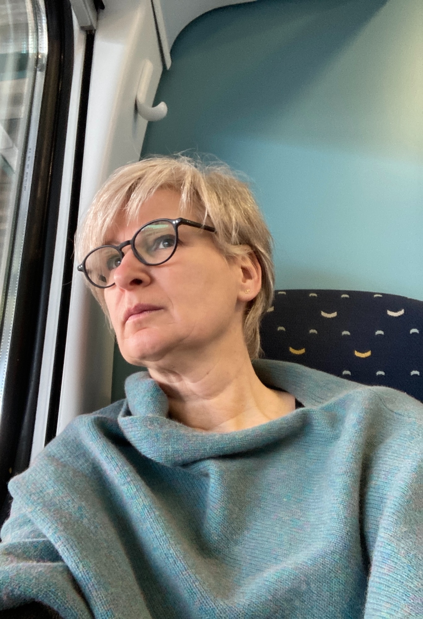 Ann Polet